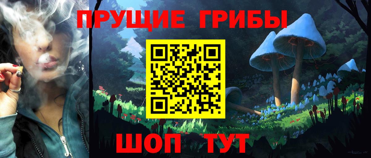 Элиста  Псилоцибиновые грибы MAGIC MUSHROOMS  Вход с VPN 